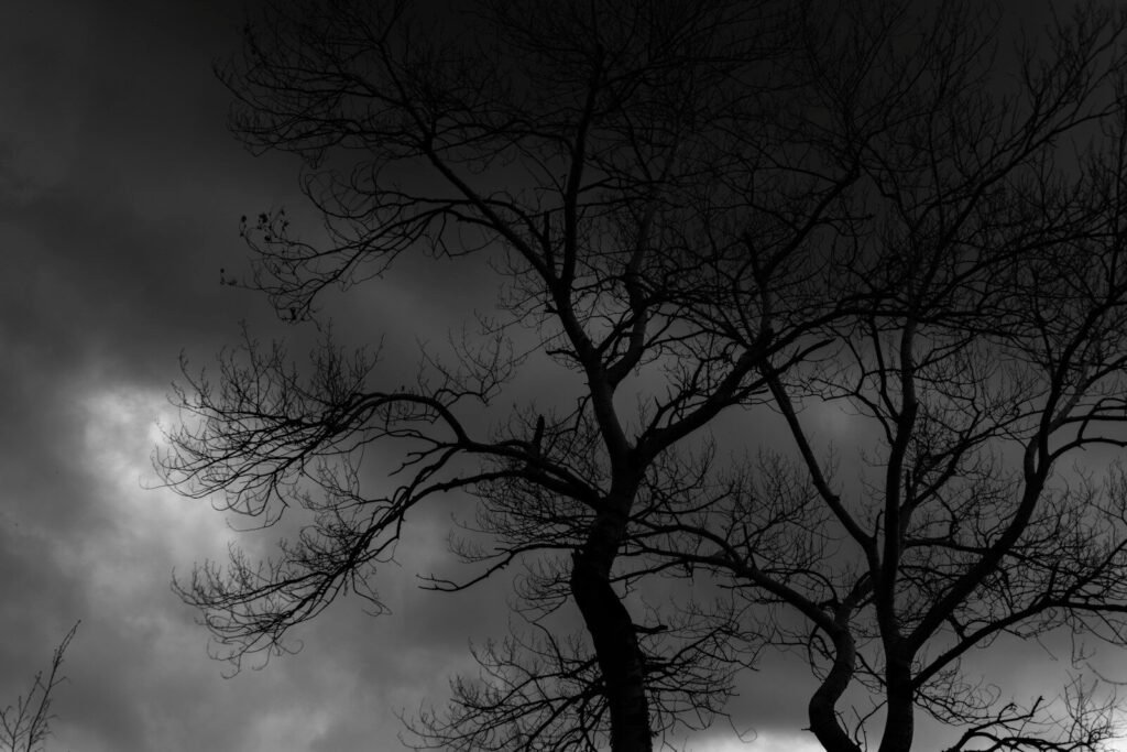How to Avoid Fitna: An Islamic Guide for Turbulent Times